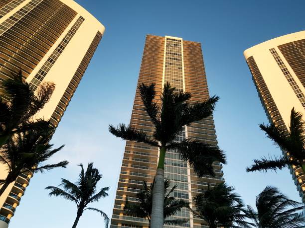 istock High buildings in Florida 1253219622