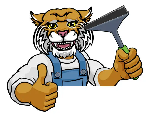 Vector illustration of Wildcat Car Or Window Cleaner Holding Squeegee