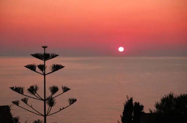 romantic sunset with the sun on the horizon as it disappears on the fiery sea and the typical vegetation of the Mediterranean areas