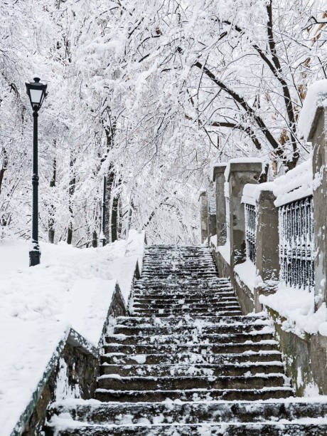 istock Winter city park 1253222332