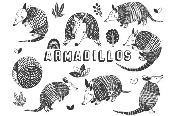 Vector illustration of Cute Little Armadillos Doodle Collections Set