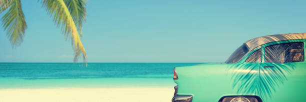 istock Classic car on a tropical beach with palm tree, panoramic vintage summer background 1253224752