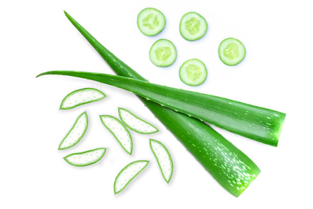 istock Aloe vera leaves 1253225392
