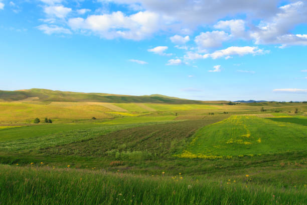 istock Beautiful spring and summer landscape. Lush green hills. Spring blooming herbs. 1253226258