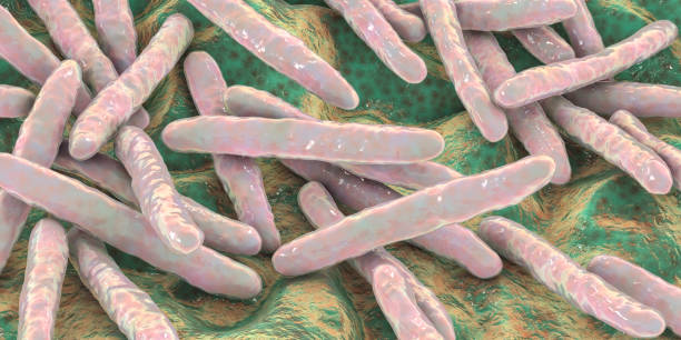 bactérias mycobacterium tuberculosis - paratuberculose doença - fotografias e filmes do acervo