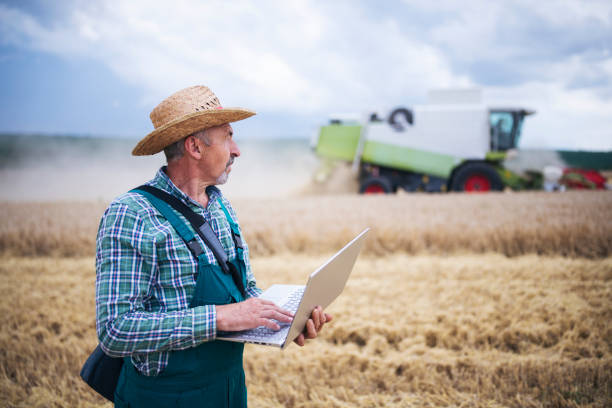 istock Senior Farmer Controlled Harvesting On Agriculture Field. 1253227581