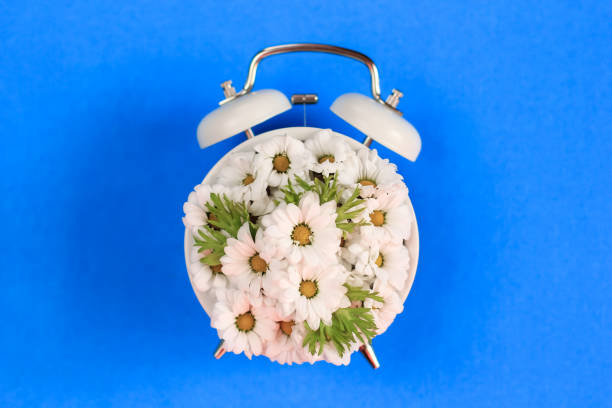istock Summertime concept with alarm clock and  chamomile flowers on bright blue background. 1253228446