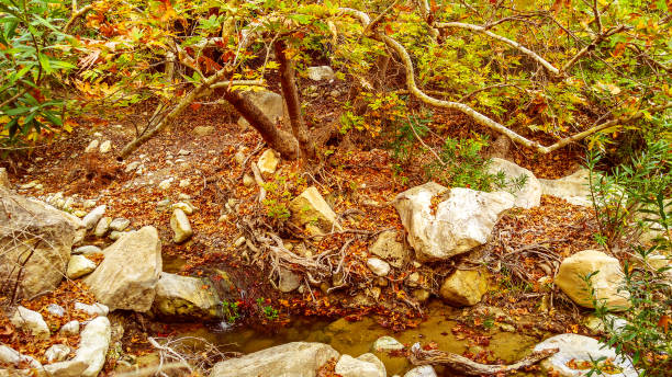 istock The Avakas canyon 1253229369