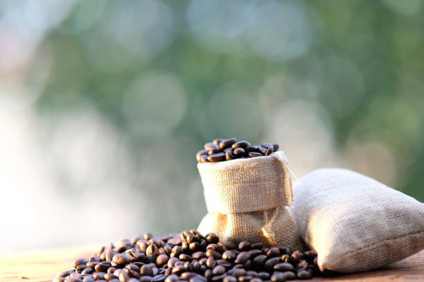 Close up coffee beans on wooden background and space for text