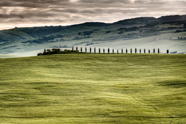 istock Sunny landscape from Val d'Orcia, Tuscany, Italy 1253231475