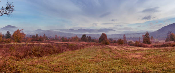 istock Foggy autumn landscape 1253232710