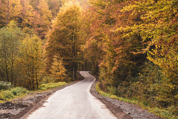 istock Beautiful autumn landscape 1253232798