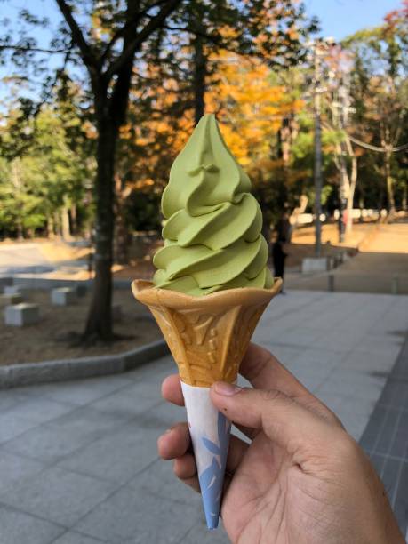 istock Matcha Mochi in Nara, Japan 1253233118