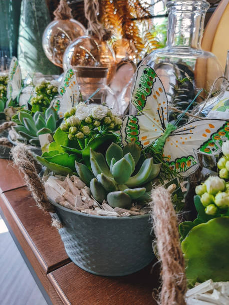 istock potted succulents close up 1253234217