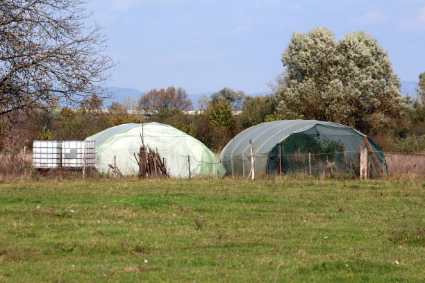 istock Open and closed plastic greenhouses filled with tomato plants next to two intermediate bulk containers or IBC plastic tanks 1253234734