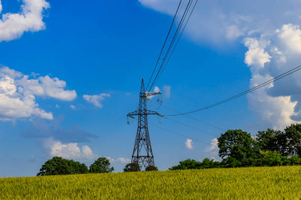 istock High voltage power tower in a green wheat field 1253235603