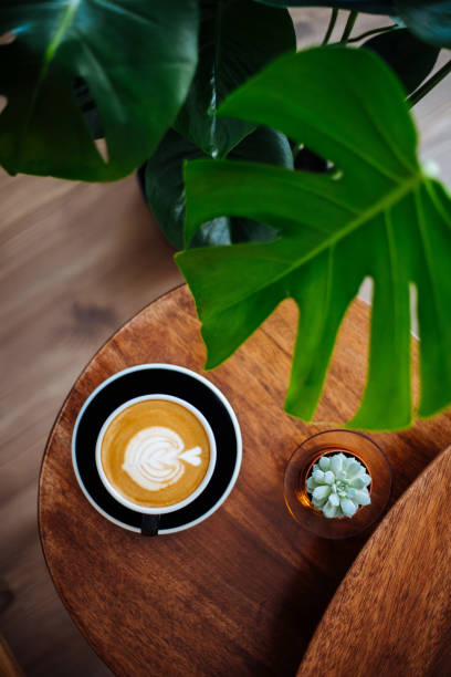 latte de café chaud avec l’art beau de latte - plate empty blue dishware photos et images de collection