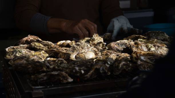Famous Miyajima Island Grilled Oysters