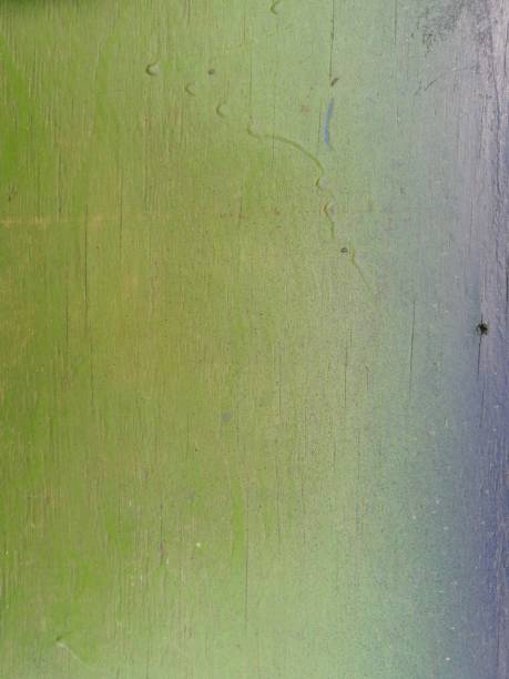 istock Empty background and texture of green wooden surface 1253243502