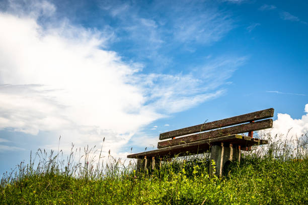 istock wooden park bench 1253246620