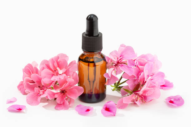 aceite esencial de geranio aislado sobre fondo blanco - geranium flower pink leaf fotografías e imágenes de stock