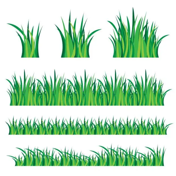 Vector illustration of grass