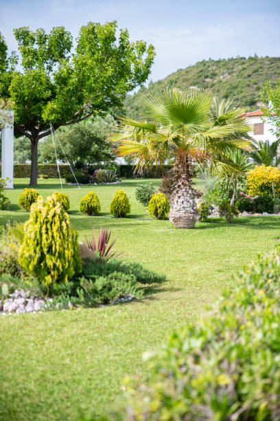 istock Private Garden with Flowers, Plants and a Small Palm Tree 1253248085