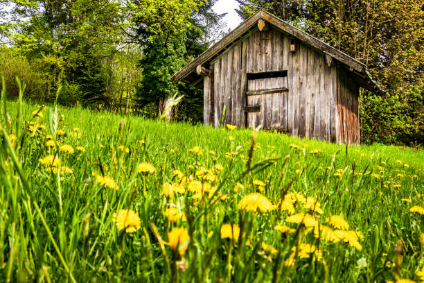hut at the european alps - photo