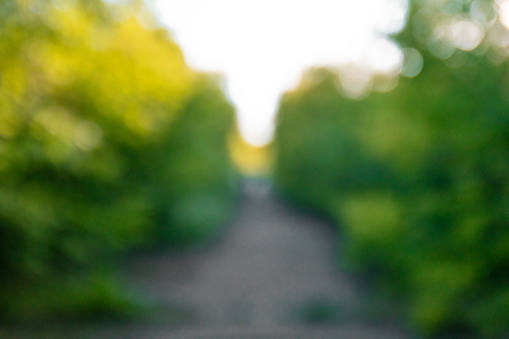 Blur nature bokeh green trees and road in the park by summertime