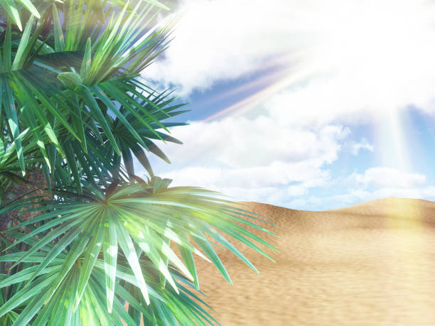 istock 3D sunny beach landscape with palm tree against sunny sky 1253251169