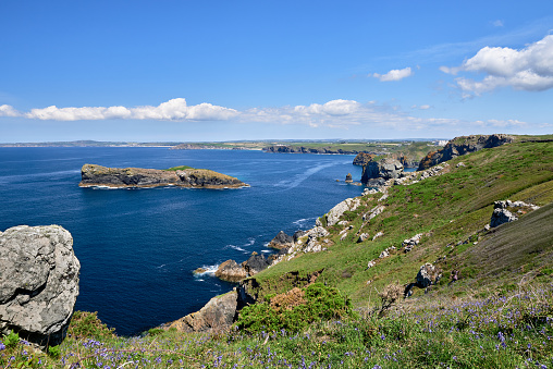 Mullion Island is a bird sanctuary just offshore from the picturesque Mullion Cove on the Lizard Peninsula. It is famous for its breeding colonies of Kittiwakes, Cormorants and Guillemots. Also known as Toldhu.