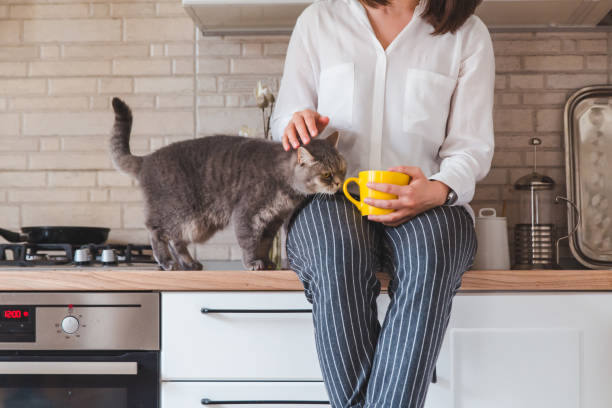 istock woman sitting on kitchen table with cat drinking tea from yellow mug 1253253154