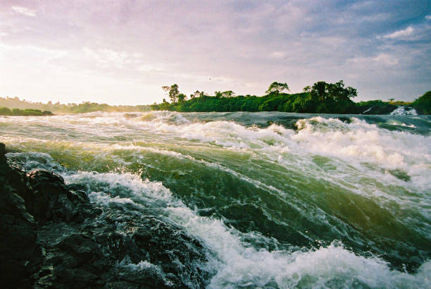 white water rapids an der quelle des nils bei sonnenaufgang - rafting white water rafting rapid river stock-fotos und bilder