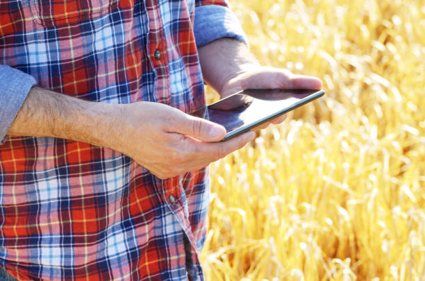 istock Farmer uses his tablet pc at ready for harvest wheat field 1253254204