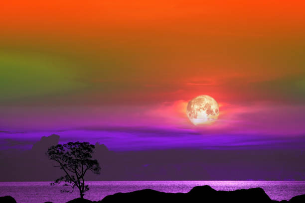 Full Corn Planting Moon and tree on the silhouette mountain on sunset sky, Elements of this image furnished by NASA, https://spacewatch.global/2018/12/new-space-moon-race-nasa-taps-nine-u-s-companies-for-commercial-lunar-payload-services/