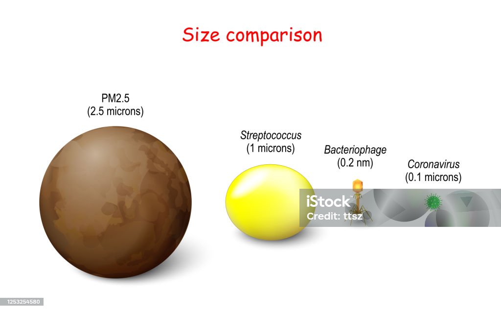 Size Comparison Between Germ Pm 25 And Coronavirus Stock Illustration -  Download Image Now - iStock