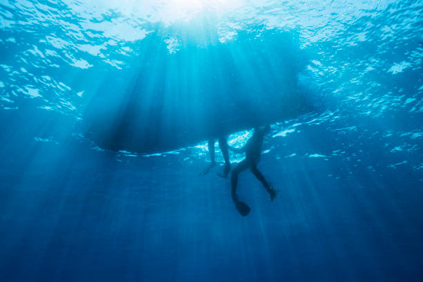 istock Silhouette of a dive boat picking up divers 1253254604