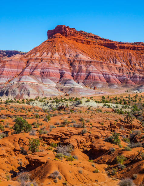 istock Picturesque spurs 1253254740