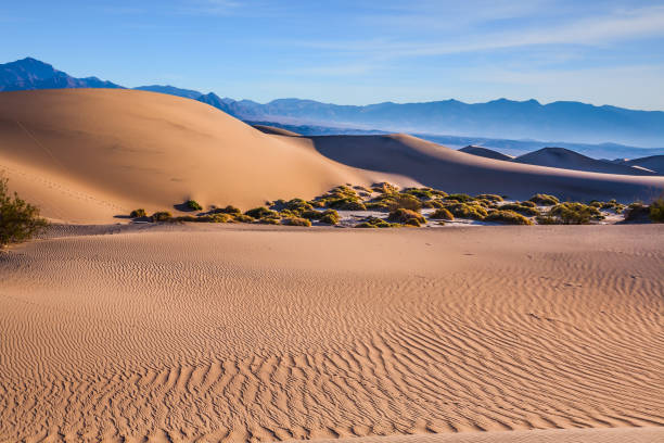 istock The dunes in Death Valley 1253254894