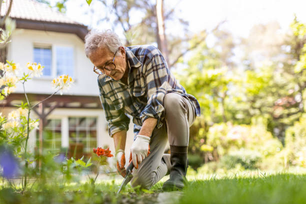 istock Mature man working in the garden 1253257250
