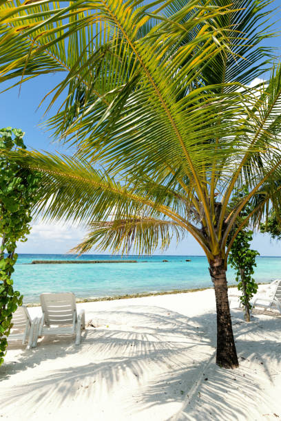 istock Chaise-longues in beach, travel card 1253257374