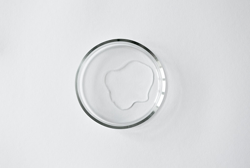 Pure liquid spot in glass petri dish on white background with copy space, top view. Concept science laboratory