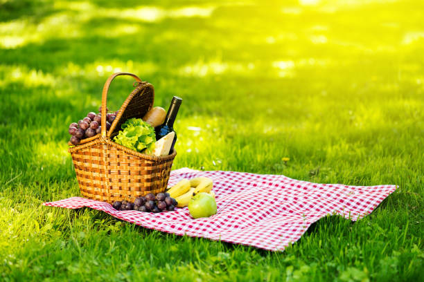 istock Picnic basket in summer park 1253258916