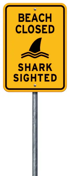 Vector illustration of yellow 'beach closed_shark sighted' warning sign with sea