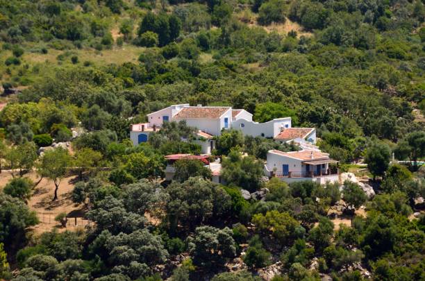 istock Countryside around Gaucin 1253260576