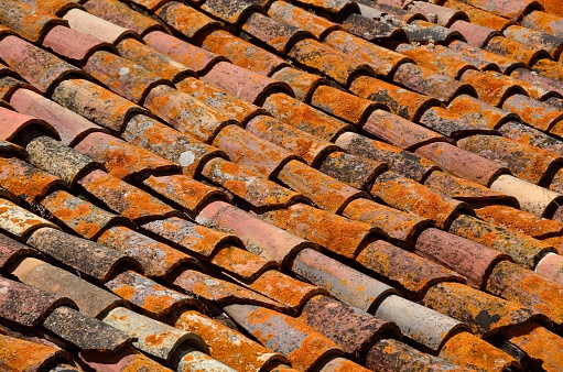 Old roof in Gaucin at Genal Valley, Malaga, Andalusia, Spain
1/500 sec at f10, ISO 200