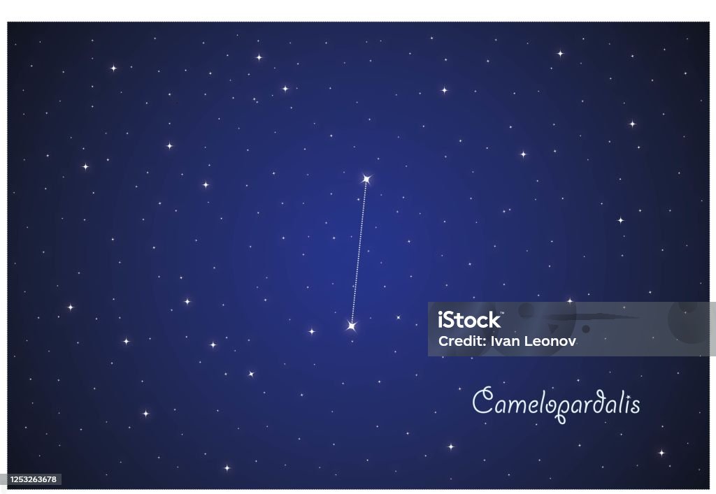 Leopard Constellation Constellation Camelopardalis In Night Sky Stock Illustration - Download ...