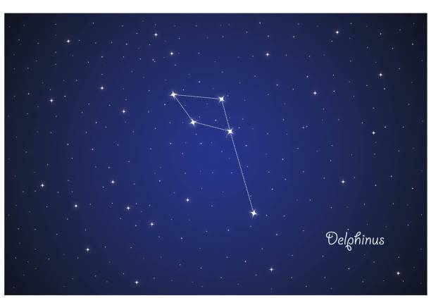 Constellation Delphinus in night sky Wallpaper with constellation Delphinus in night sky constellation delphinus stock illustrations