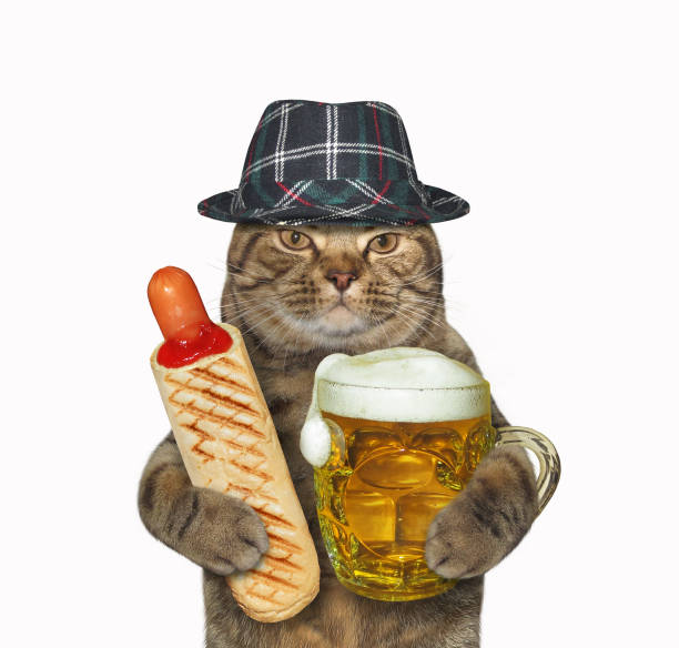 istock Cat likes hot dog with beer 1253263865