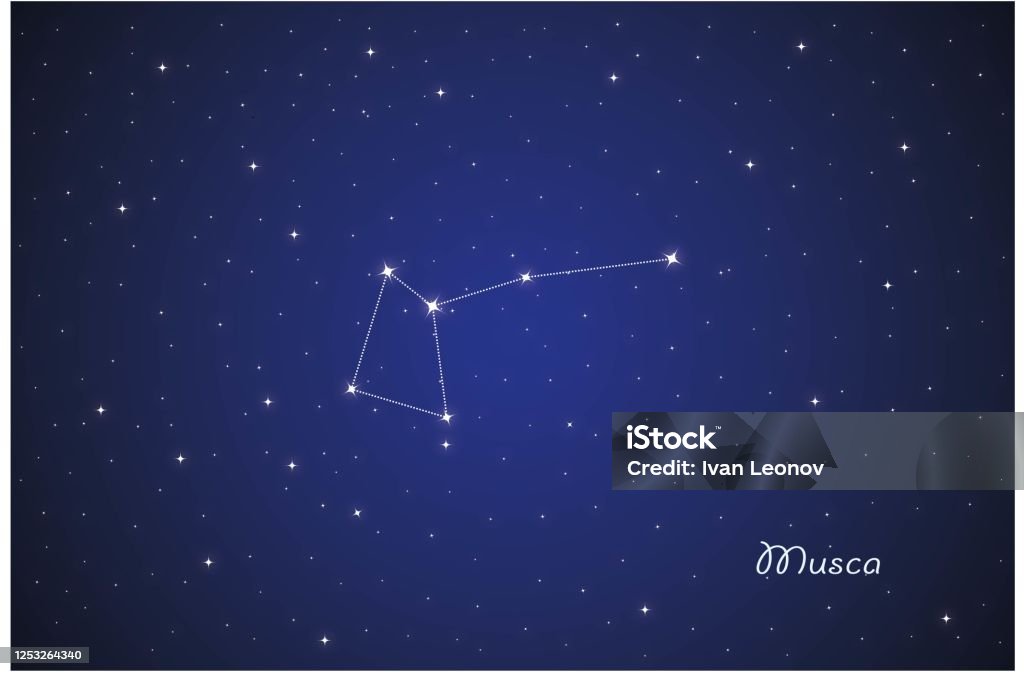 Planet Musca Constellation Musca In Night Sky Stock Illustration - Download Image ...